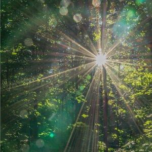 Meet your Posher, Kerry